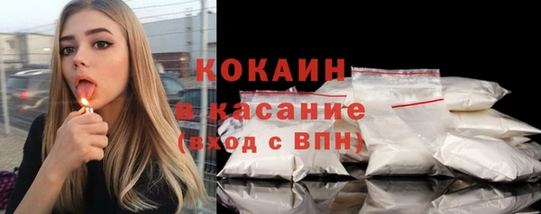 шишки Майский